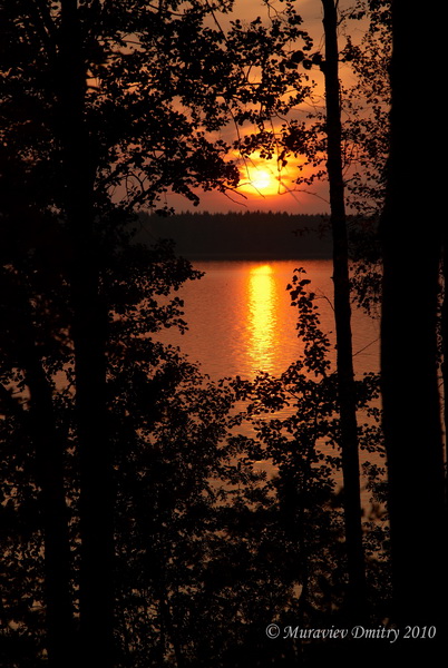 DSC_0268_resize.JPG