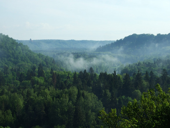 016.jpg